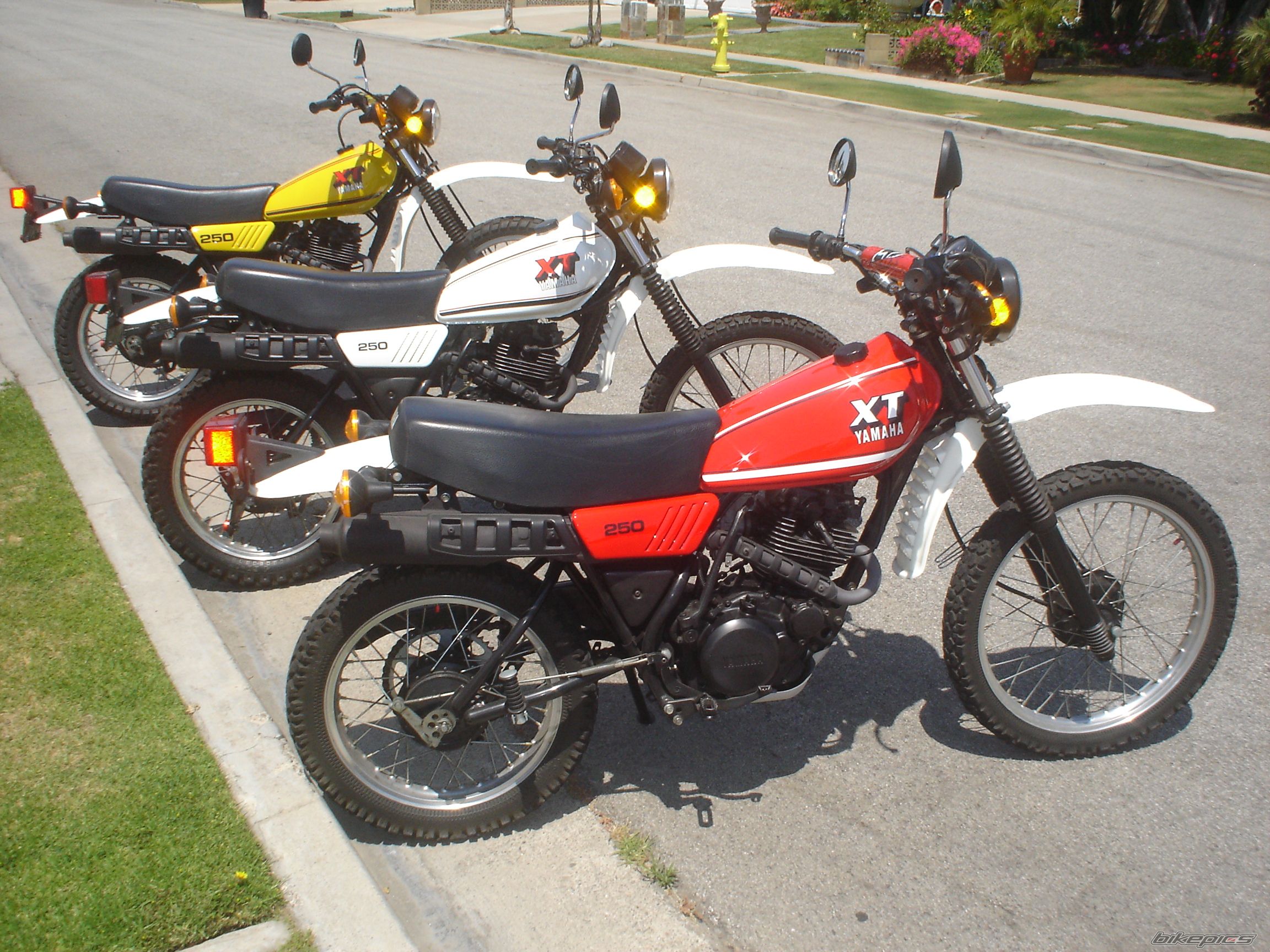 Photo 1672920