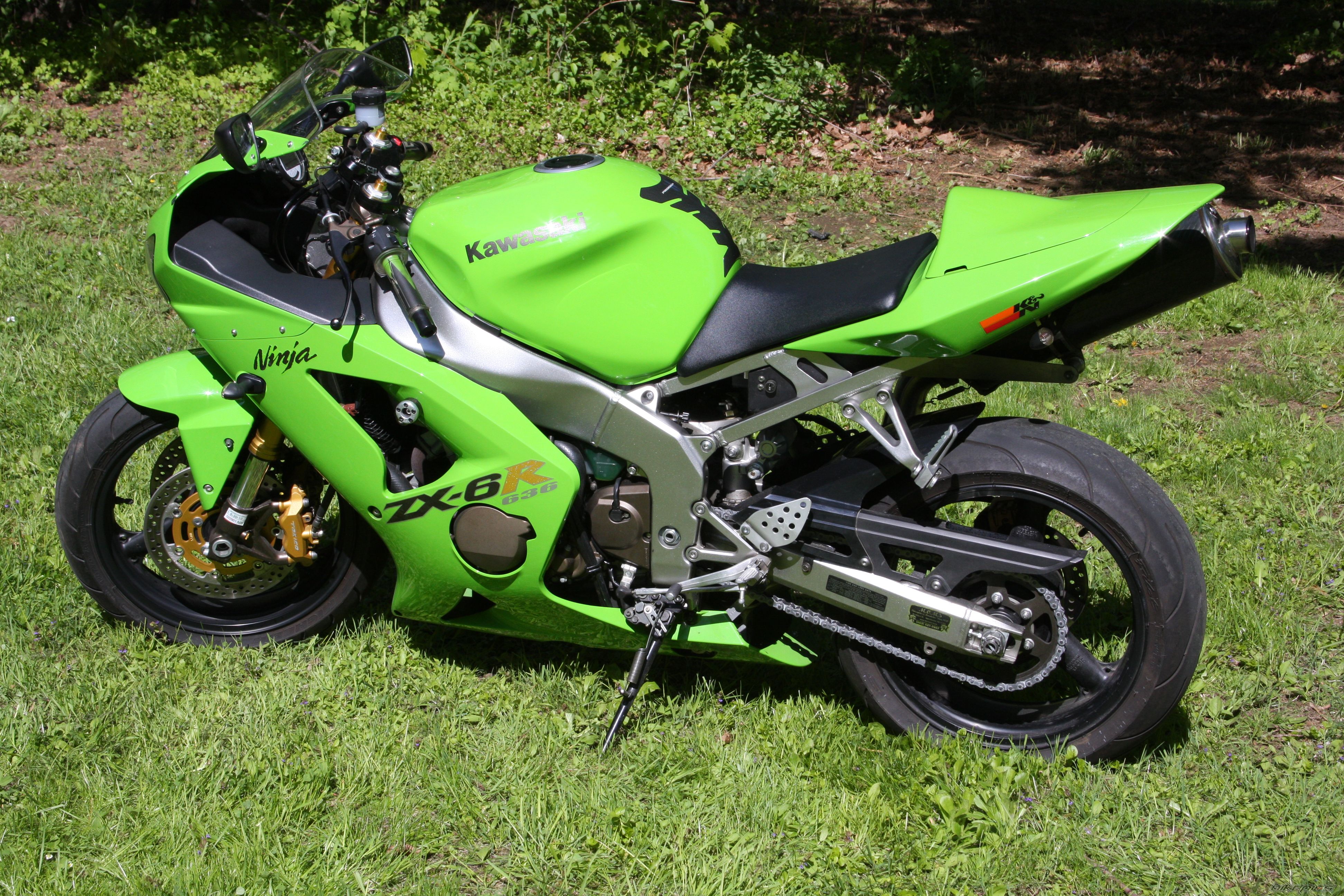 Photo 1672926