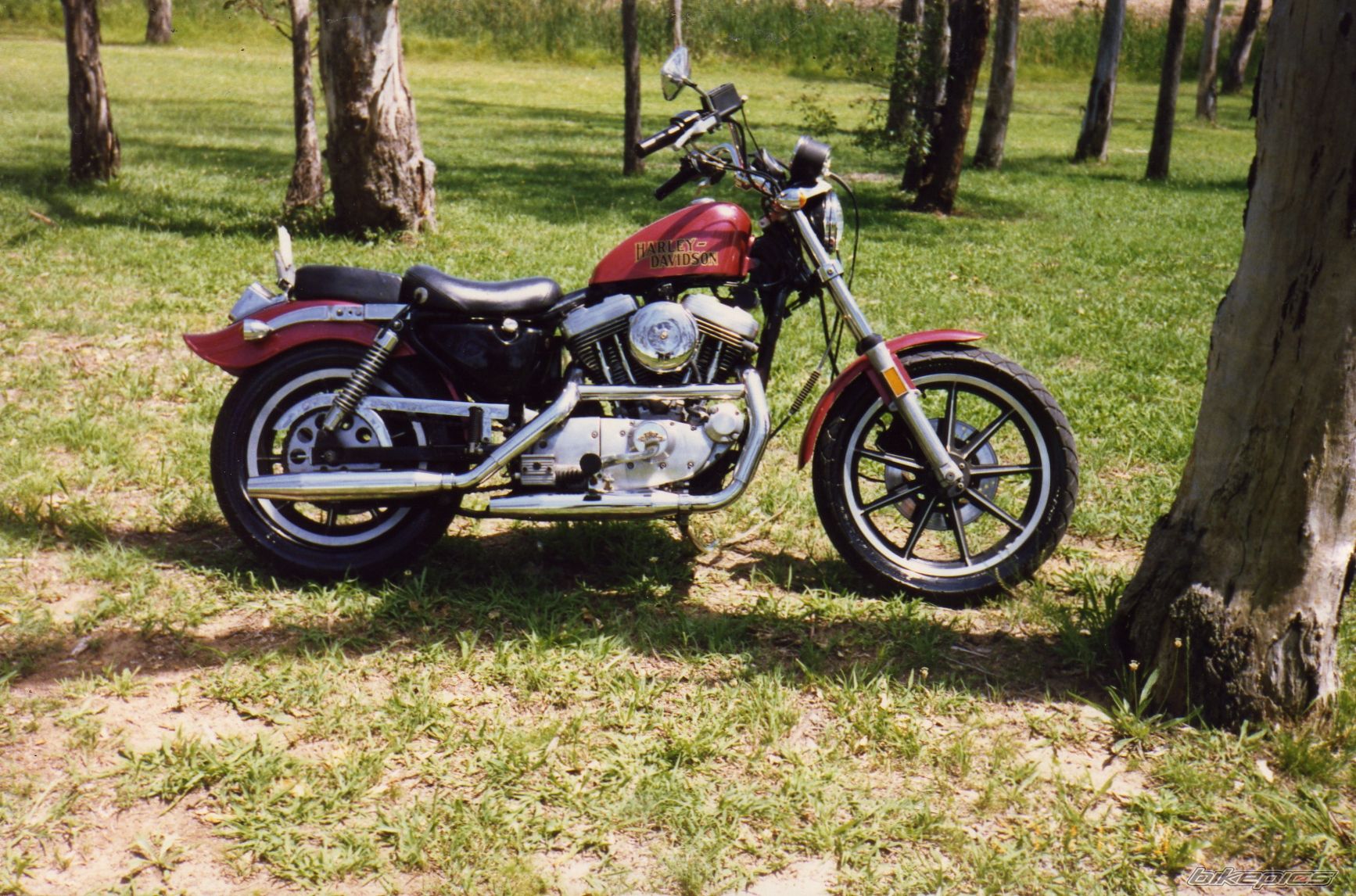 Photo 1673019