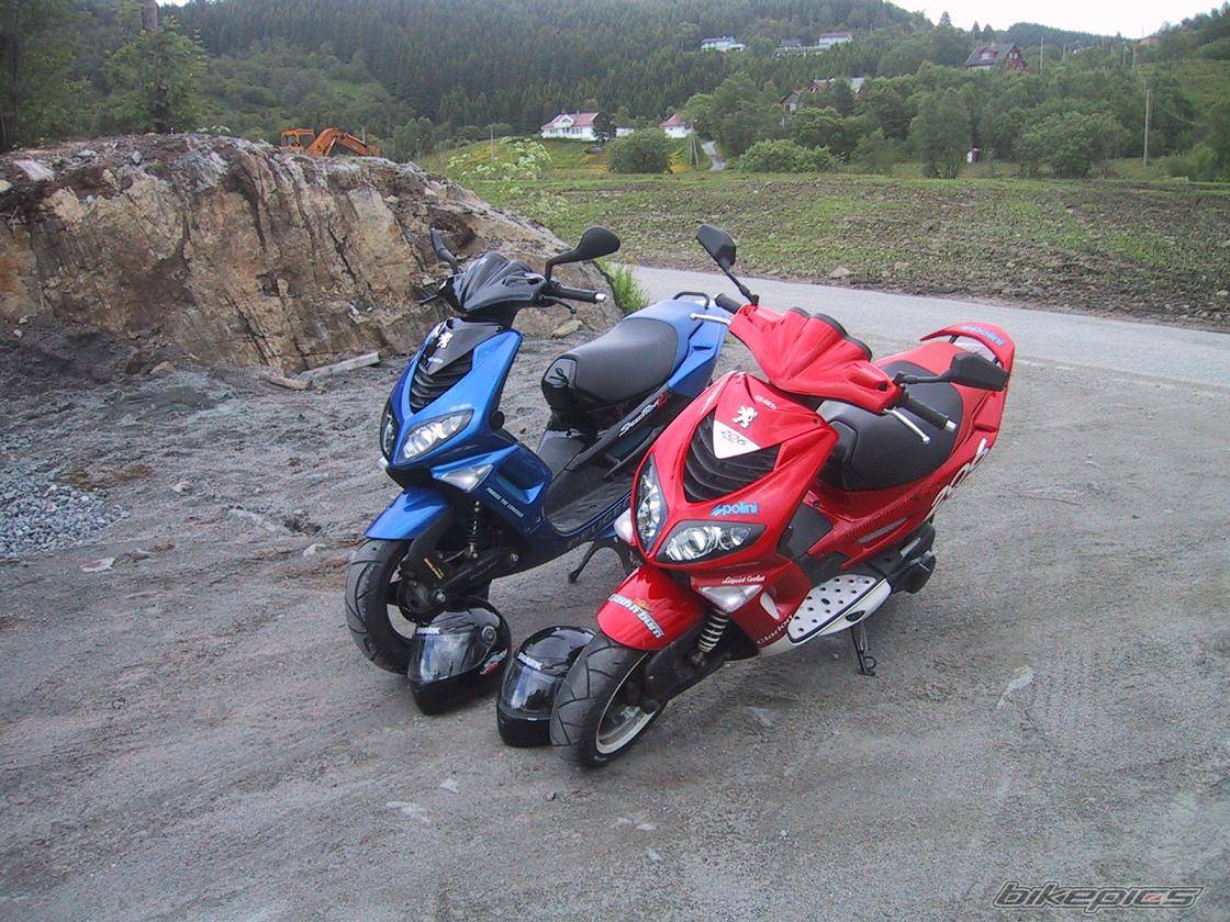 Photo 167314