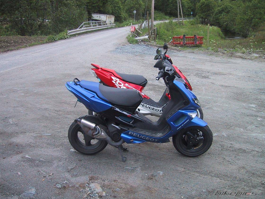 Photo 167319