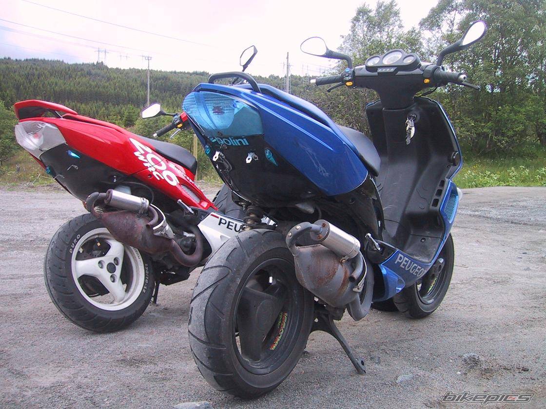 Photo 167320