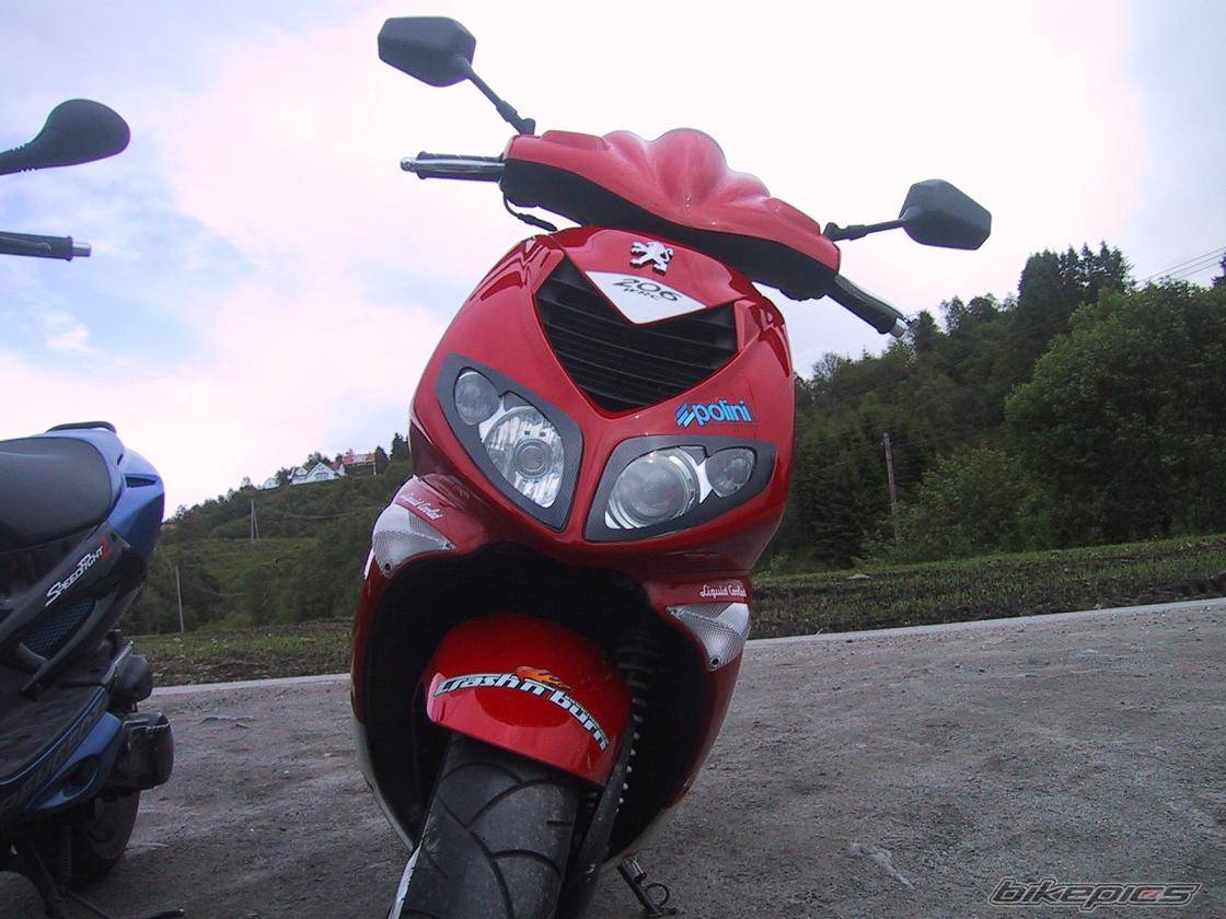 Photo 167332