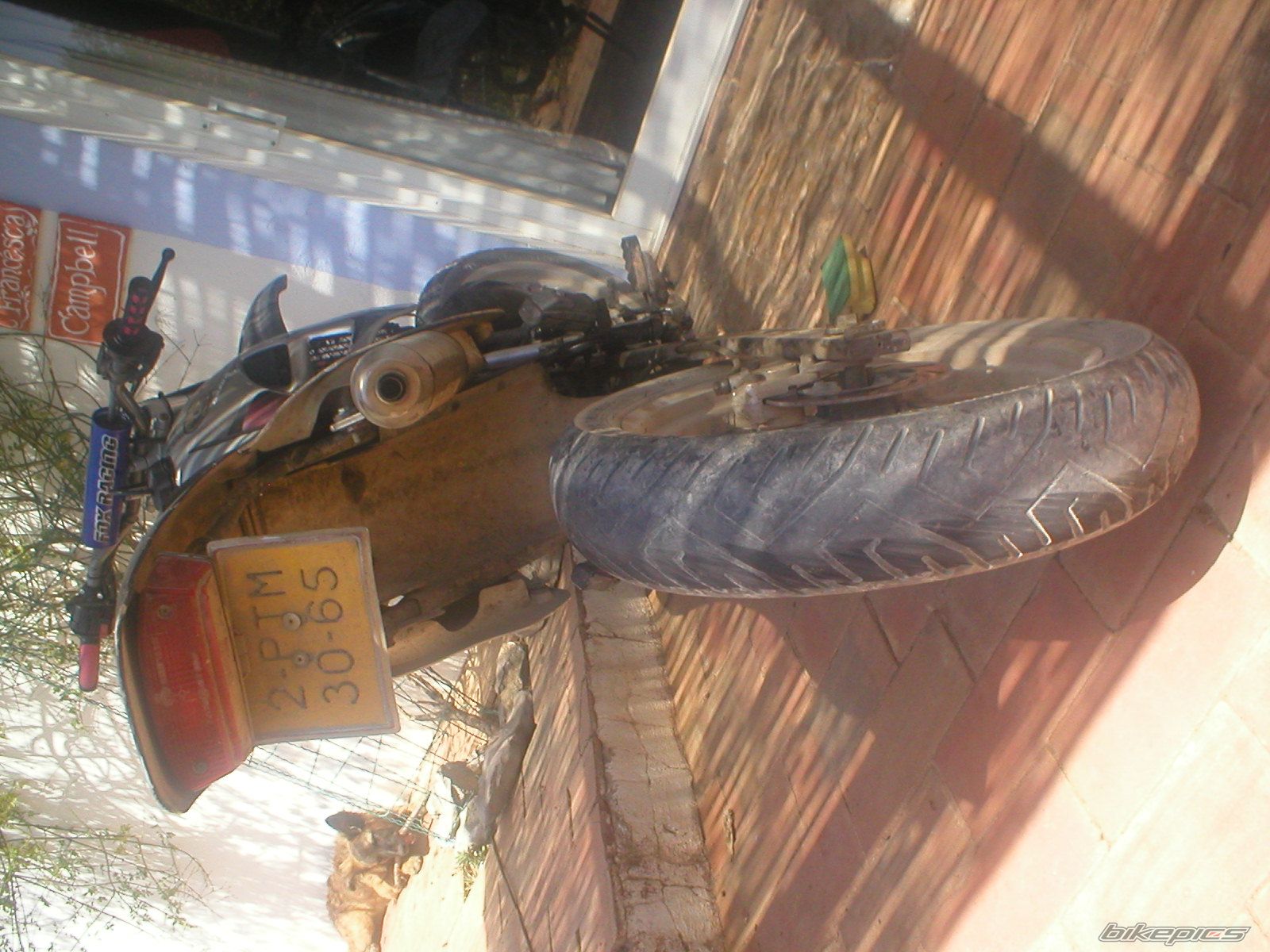 Photo 1673324