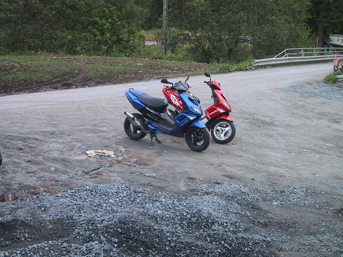 Photo 167338
