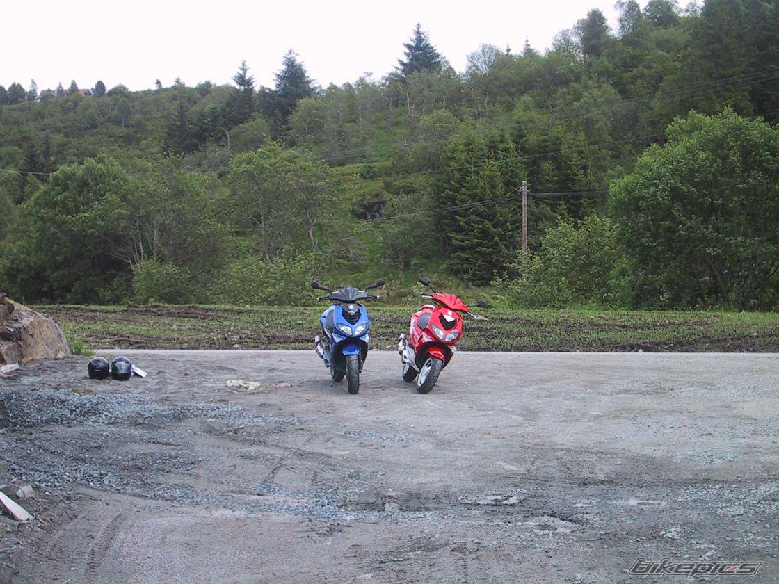 Photo 167339
