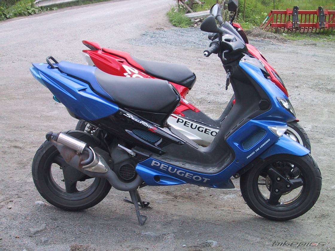 Photo 167341
