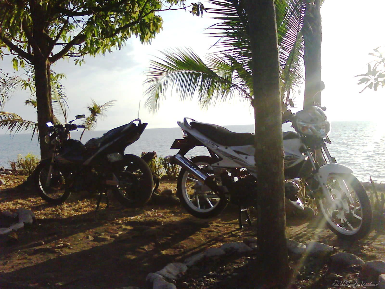 Bike Photo 1673415