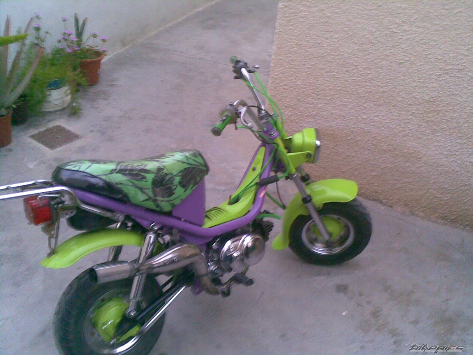 Photo 1673421