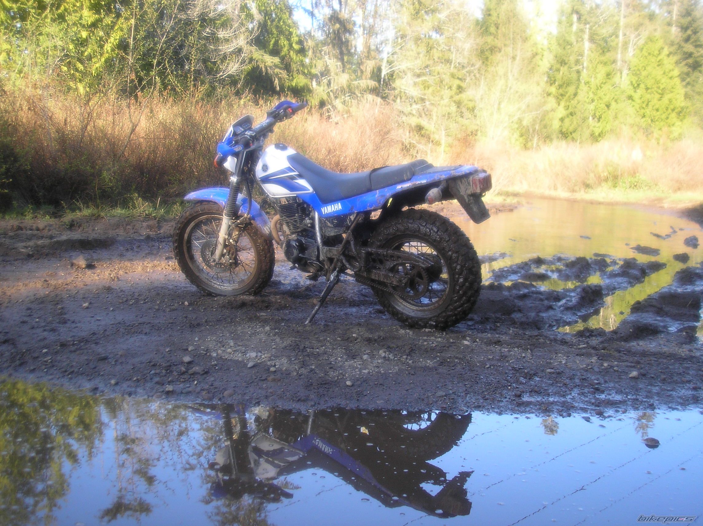 Photo 1673824
