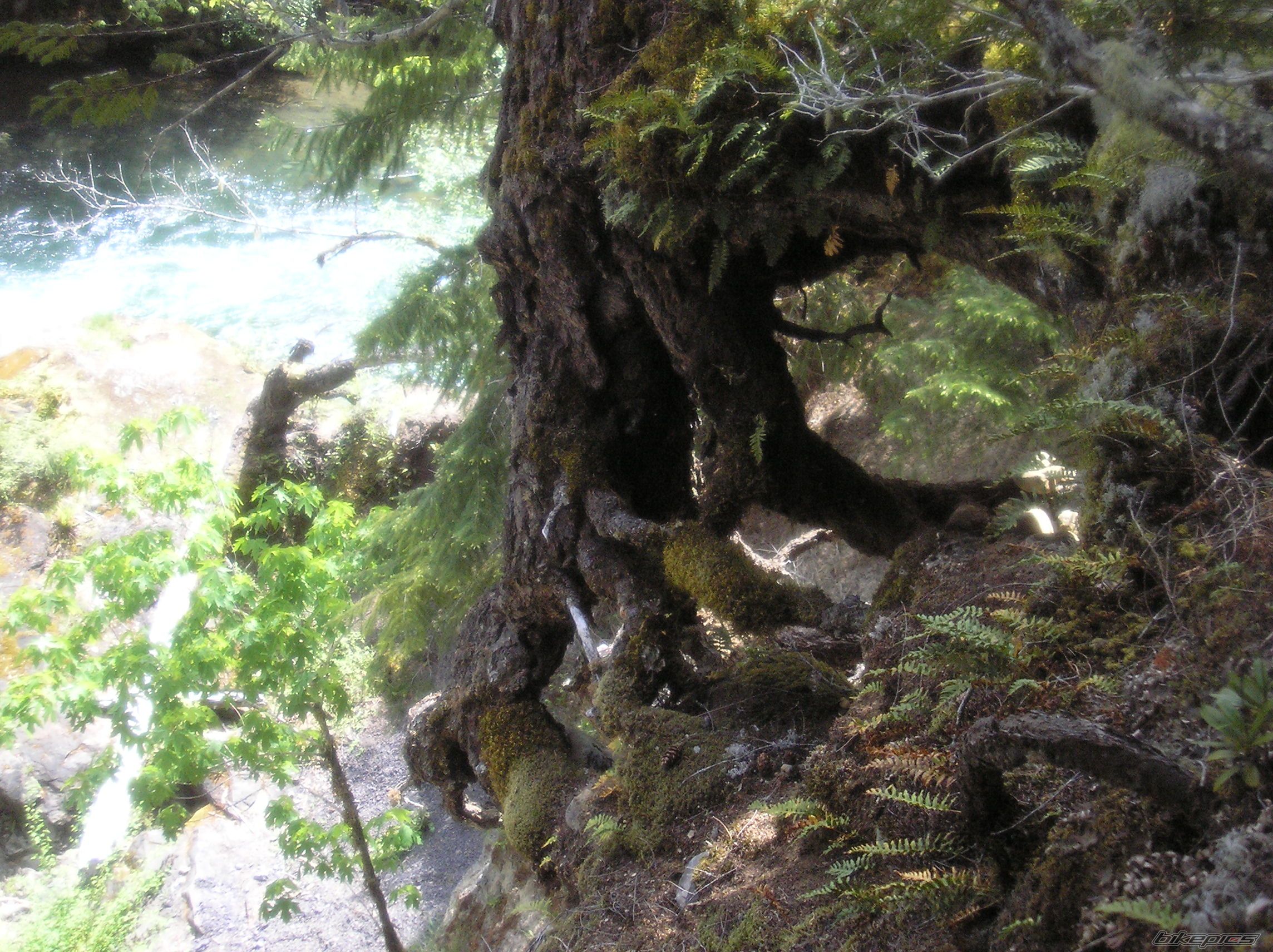 Photo 1673839