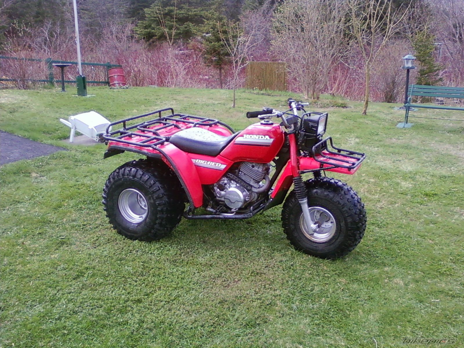 Photo 1673866
