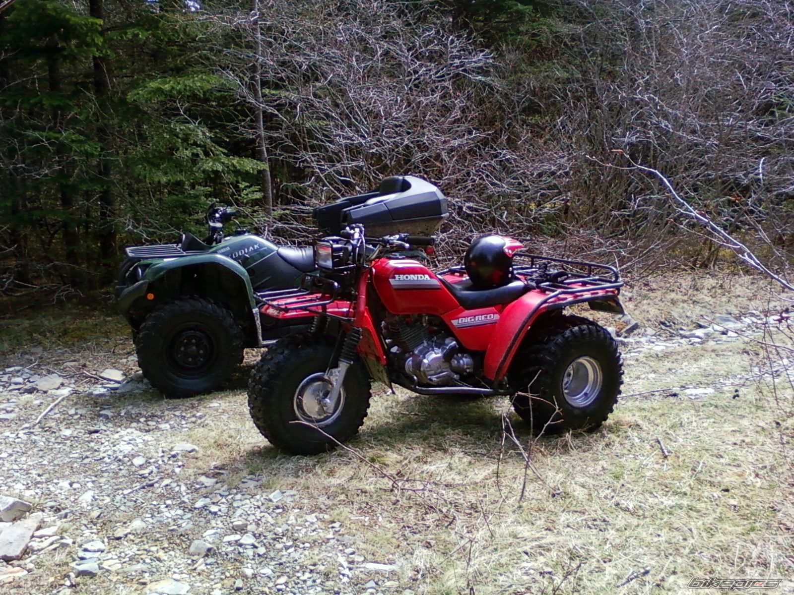 Photo 1673867