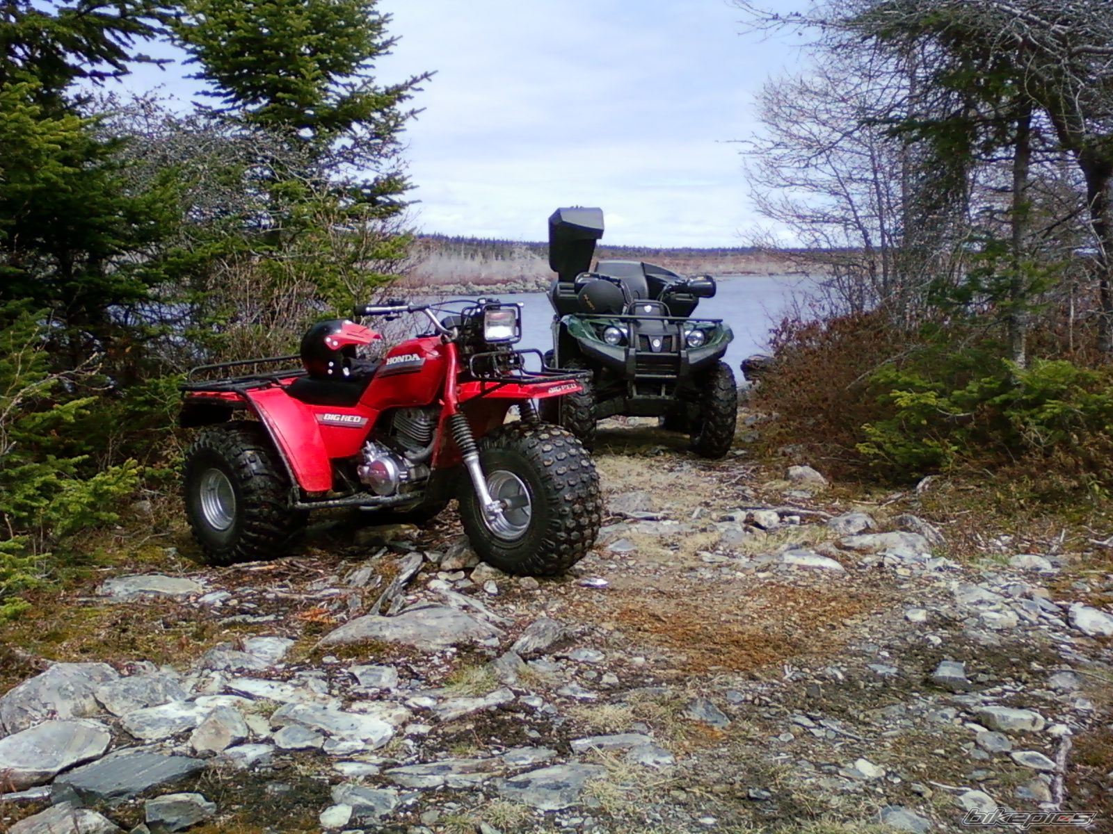 Photo 1673890