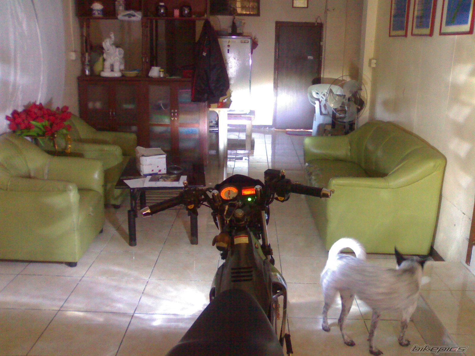 Bike Photo 1673921