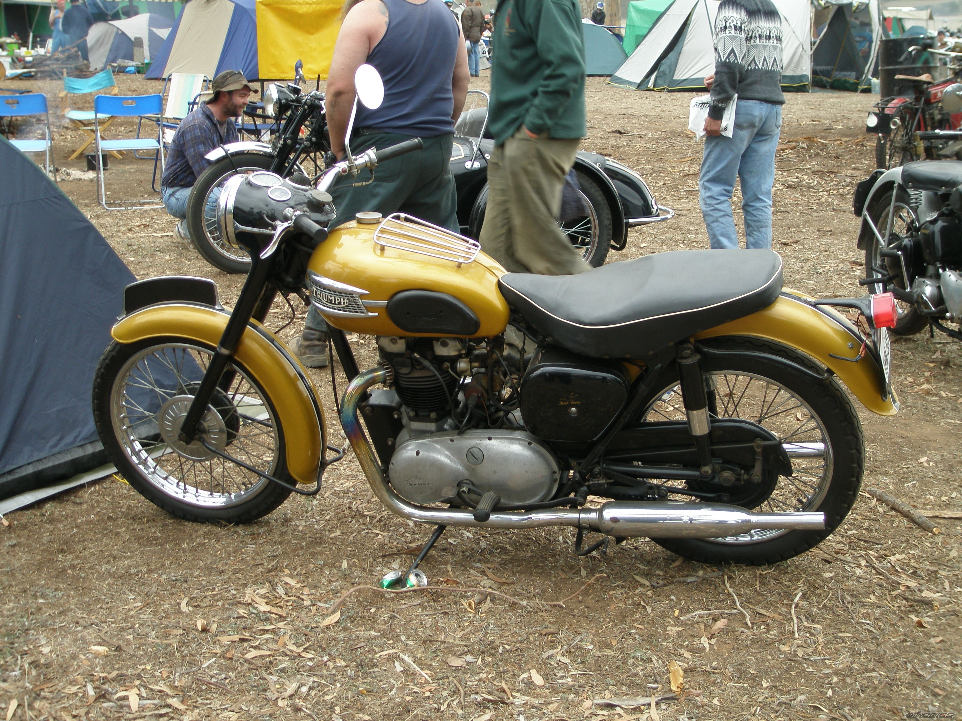 Photo 1674040