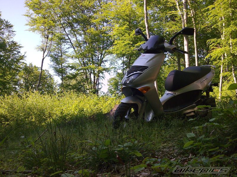 Photo 1674066