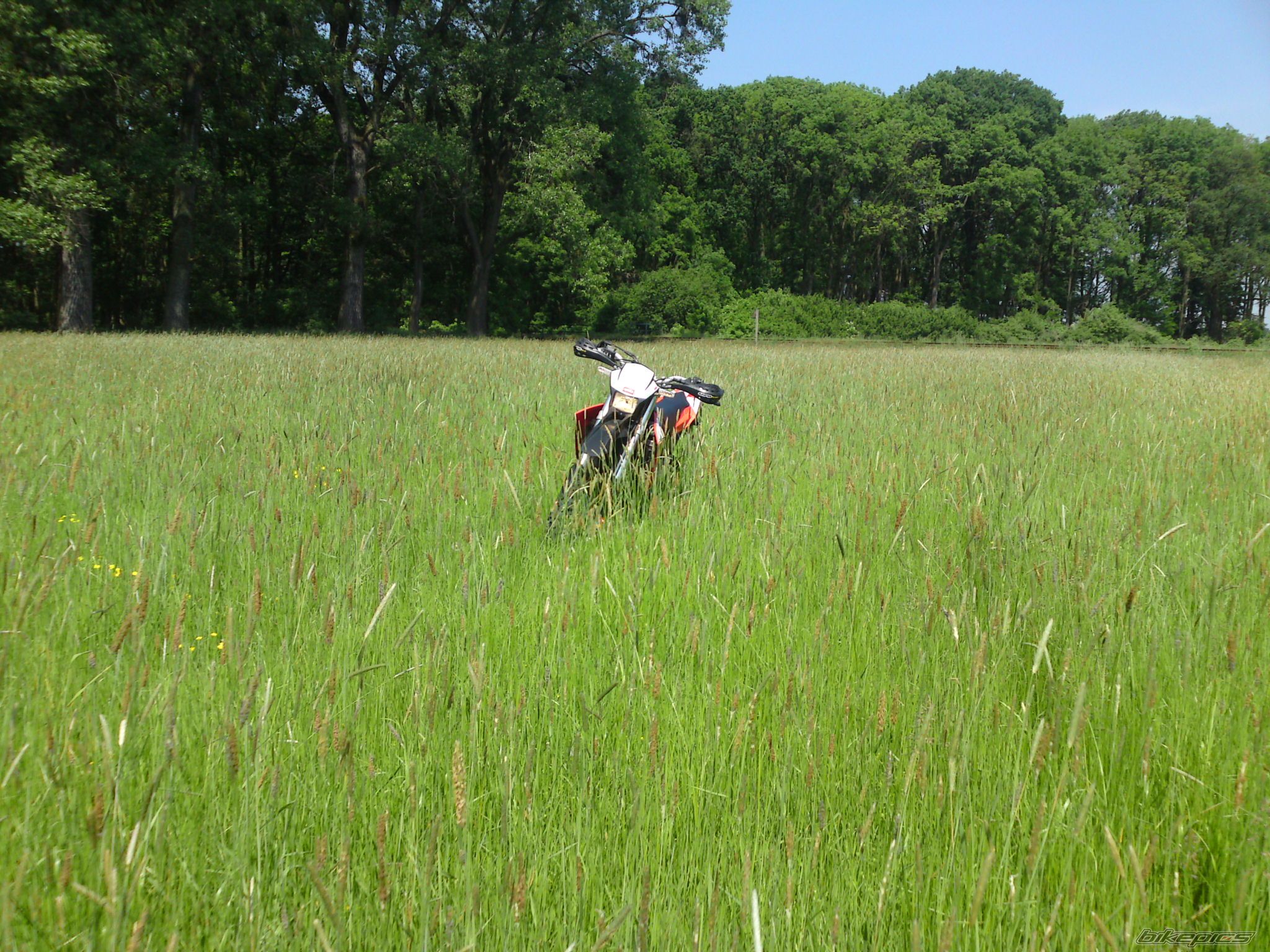 Photo 1674144