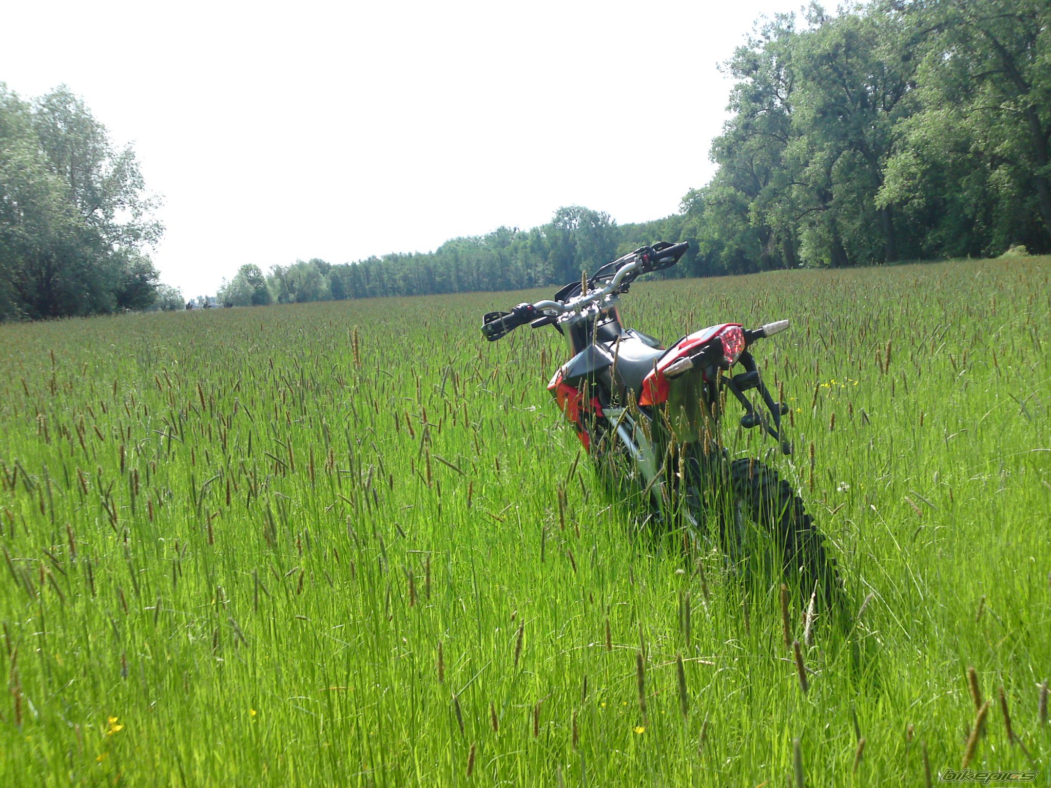 Photo 1674149