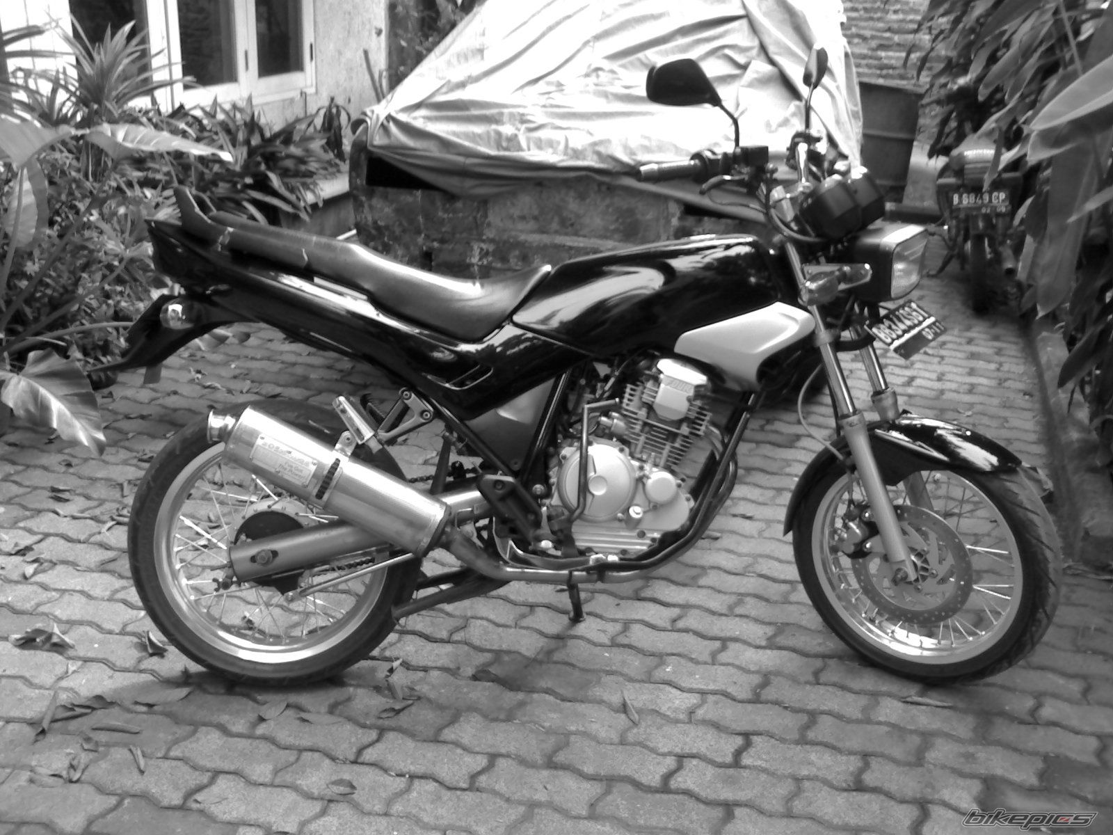 Photo 1674288