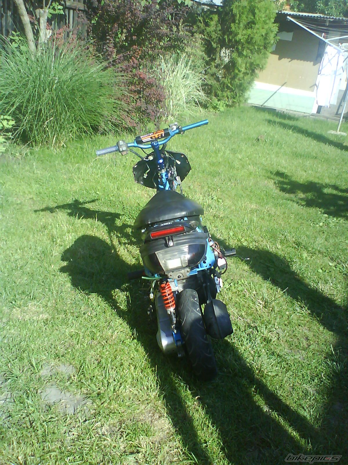 Photo 1674312