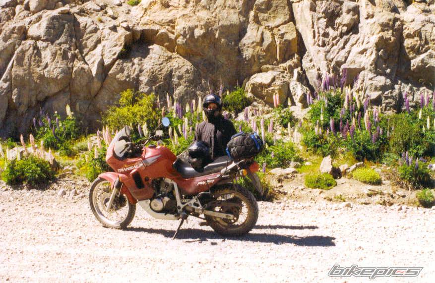 Bike Photo 167432