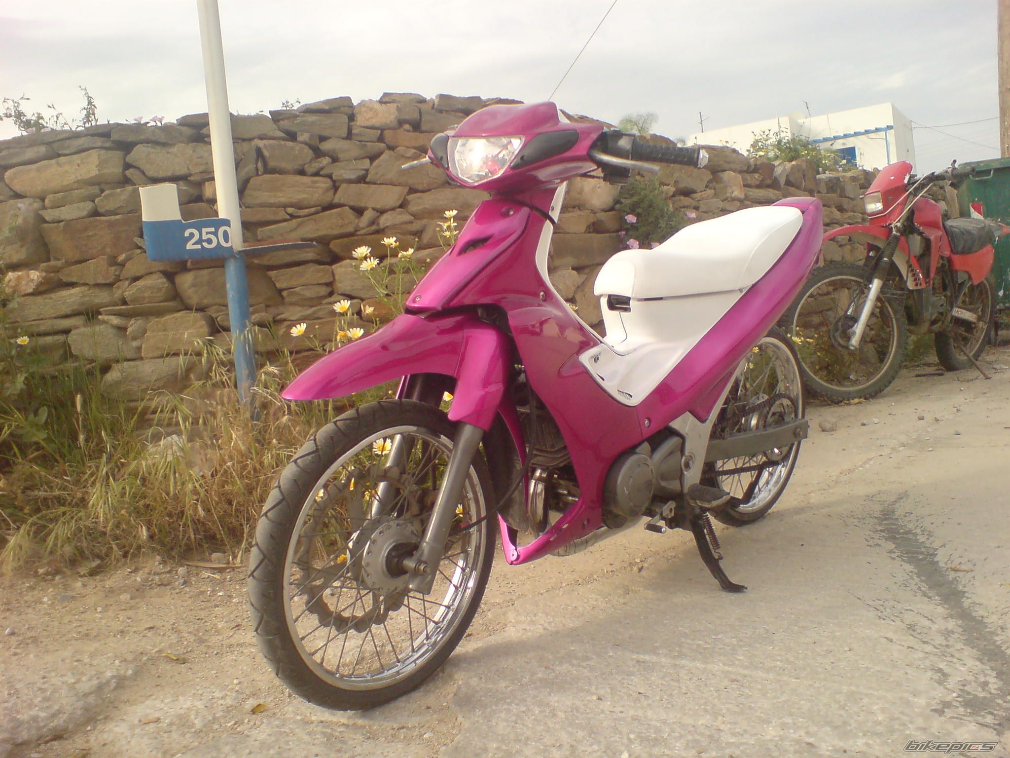 Photo 1674348