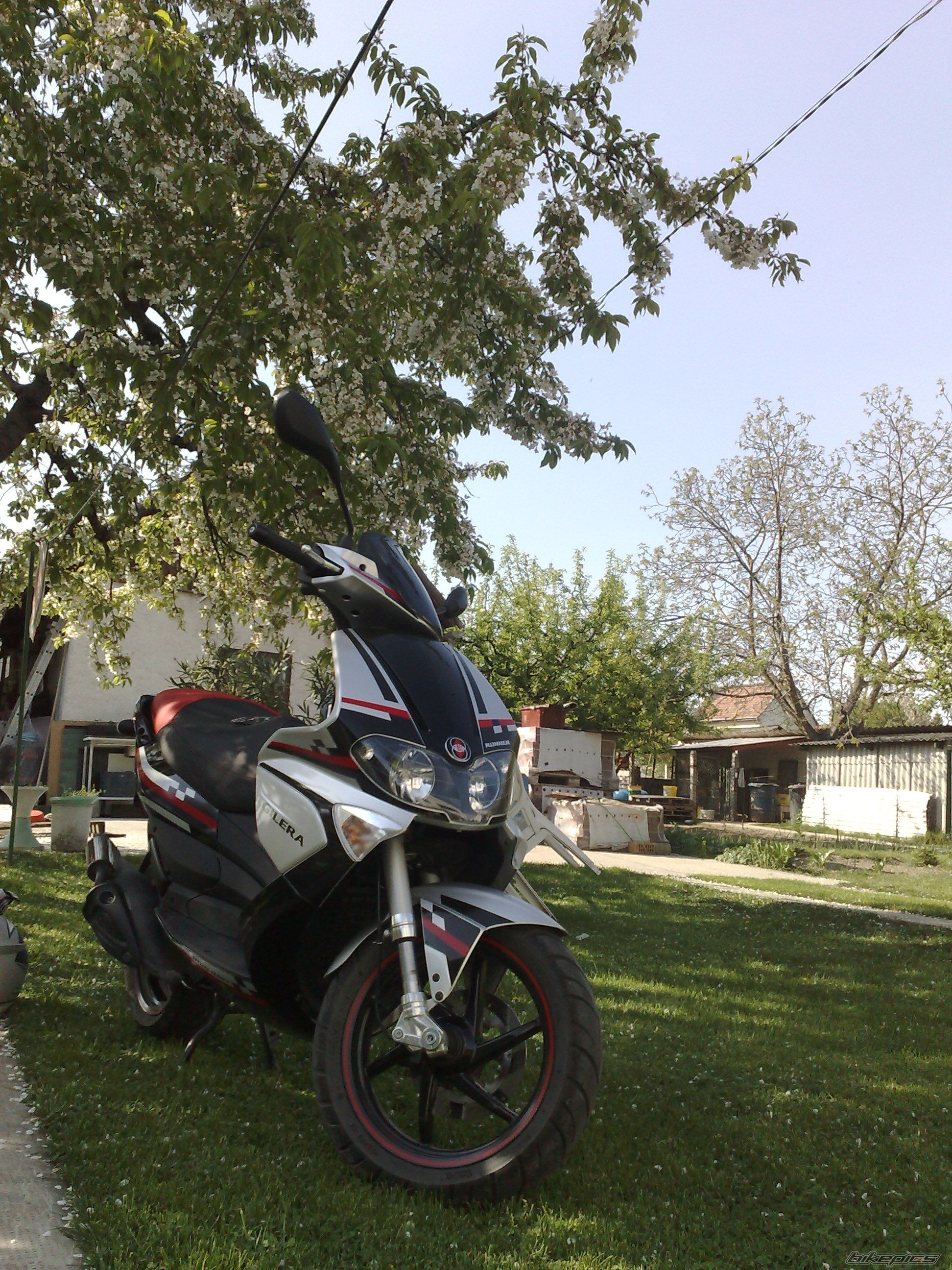 Photo 1674453