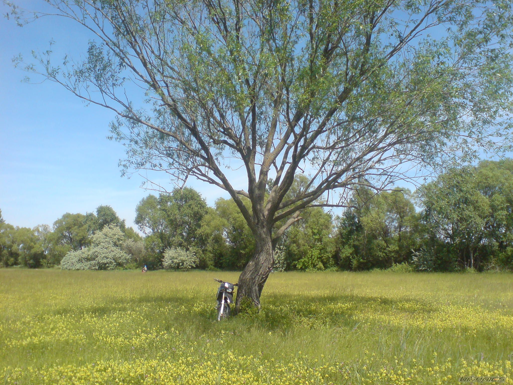 Photo 1674460