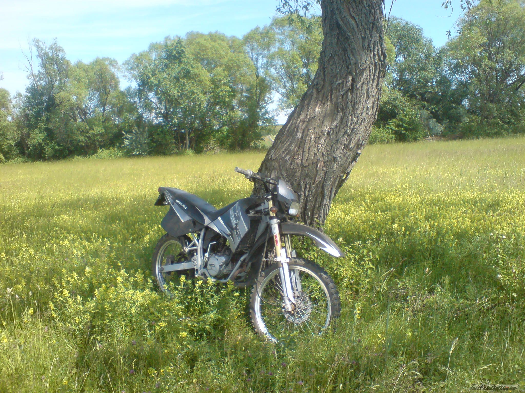 Photo 1674461