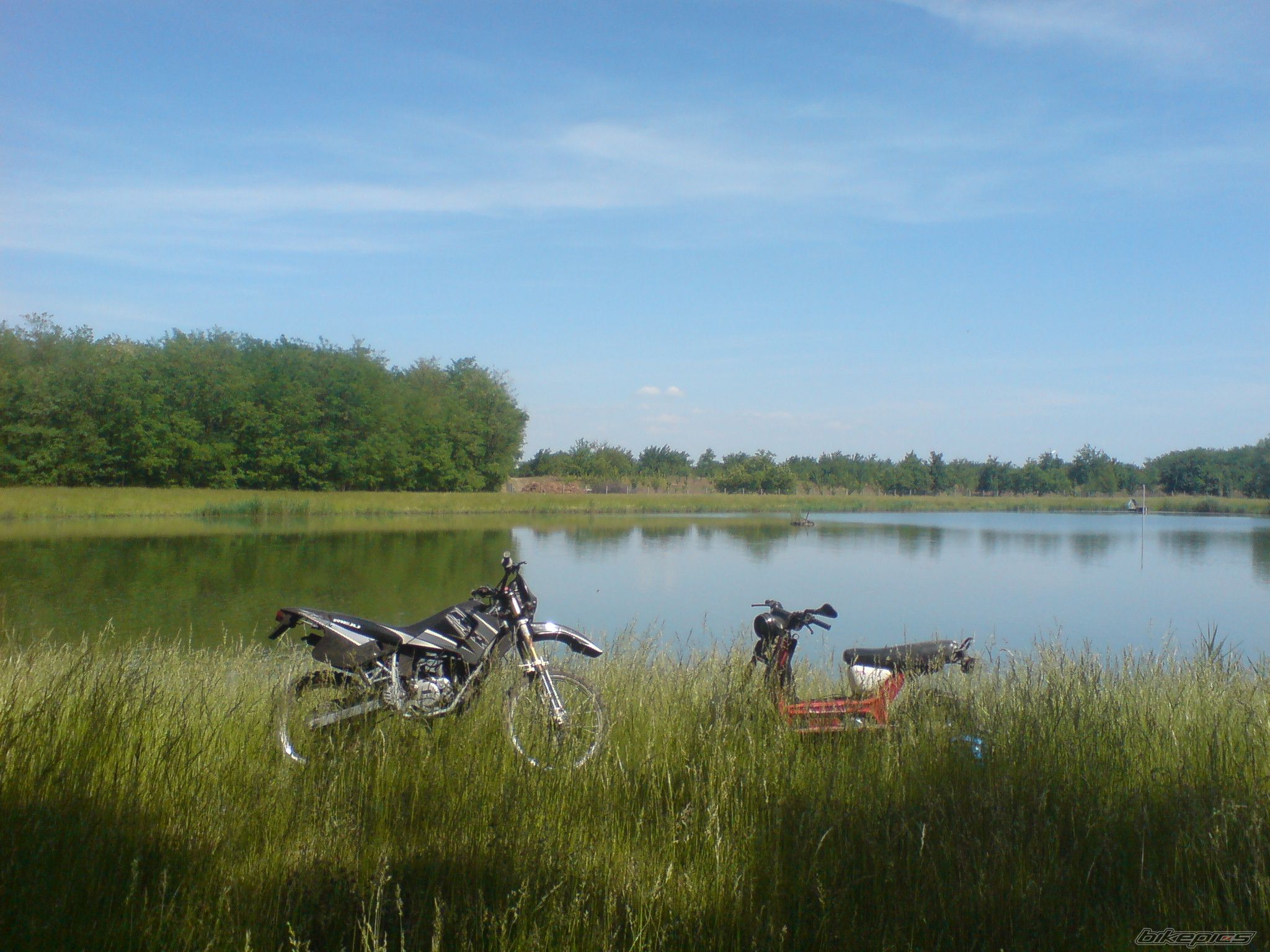Photo 1674462