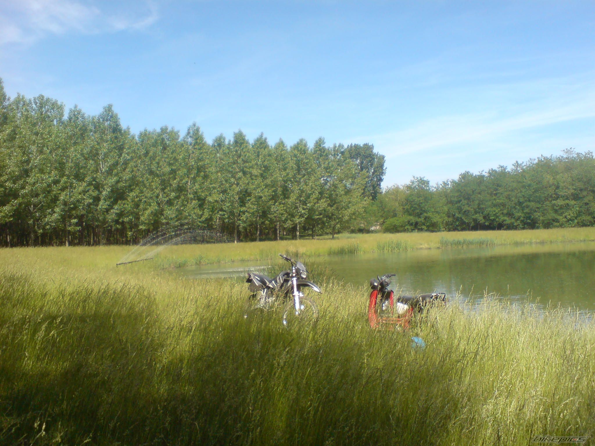 Photo 1674464
