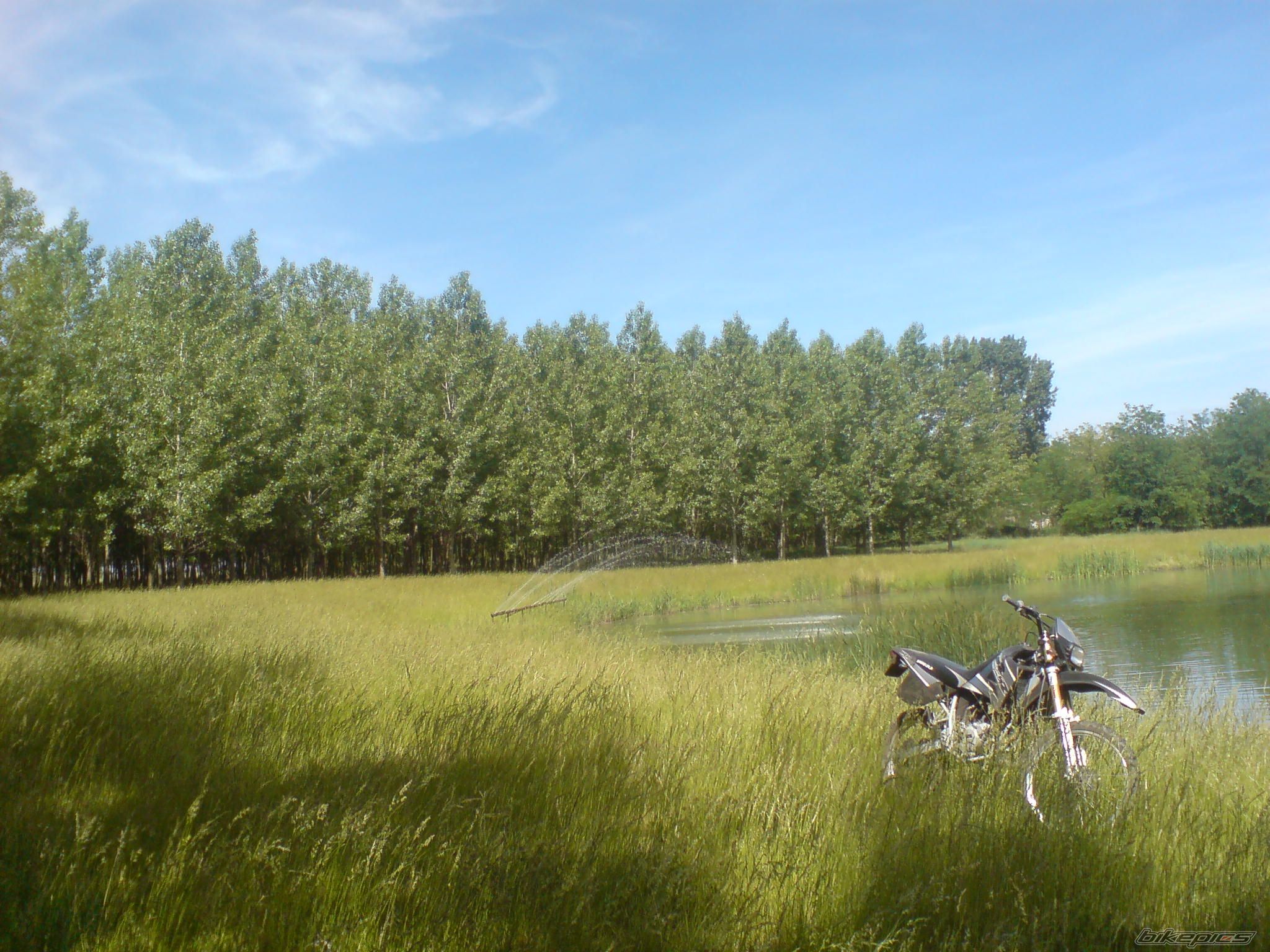 Photo 1674466