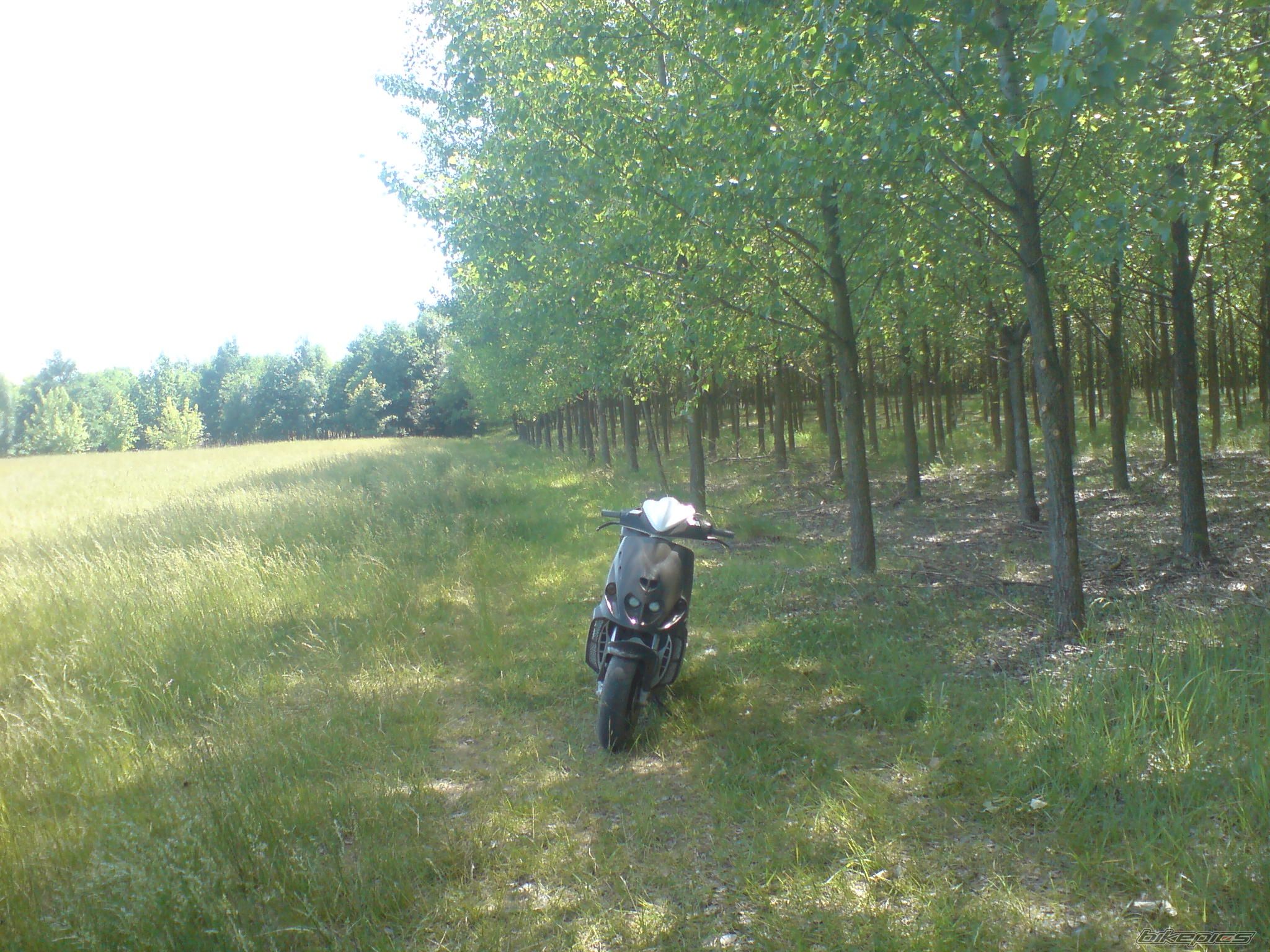 Photo 1674470