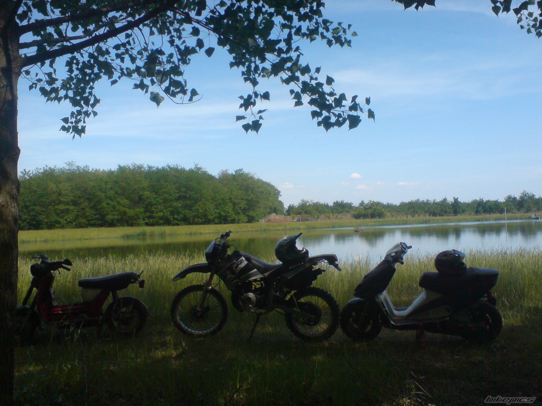 Photo 1674473