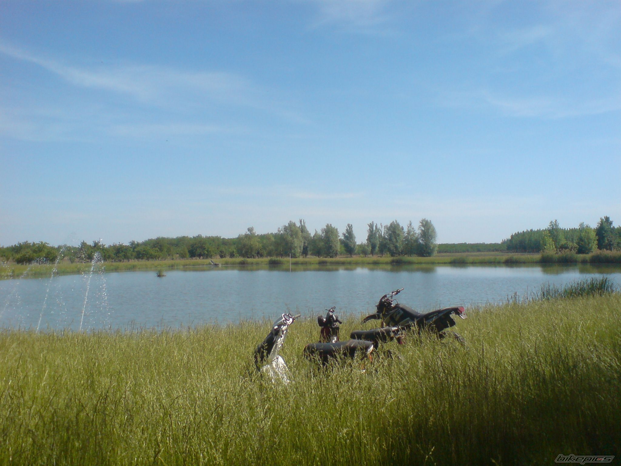 Photo 1674484