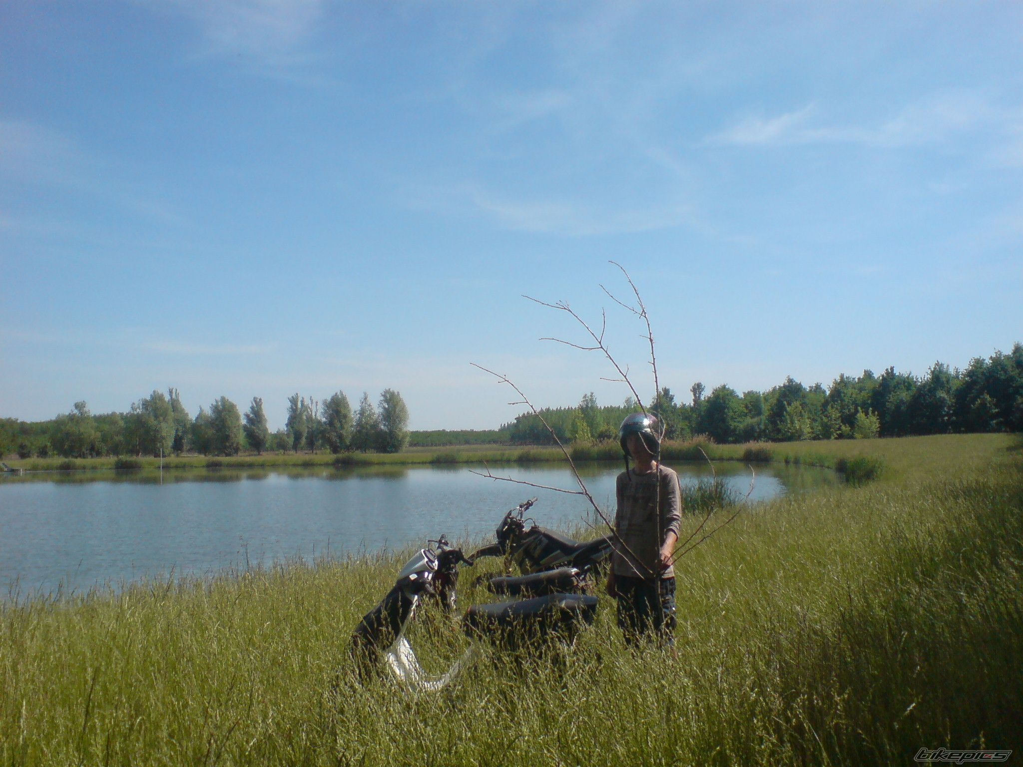 Photo 1674487
