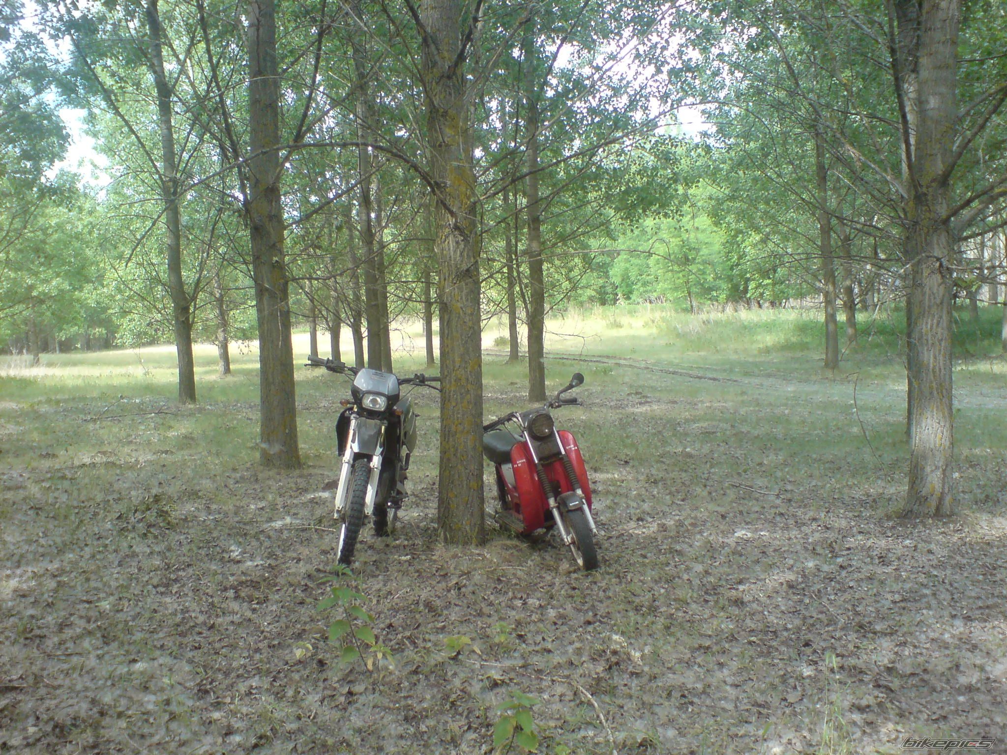 Photo 1674502