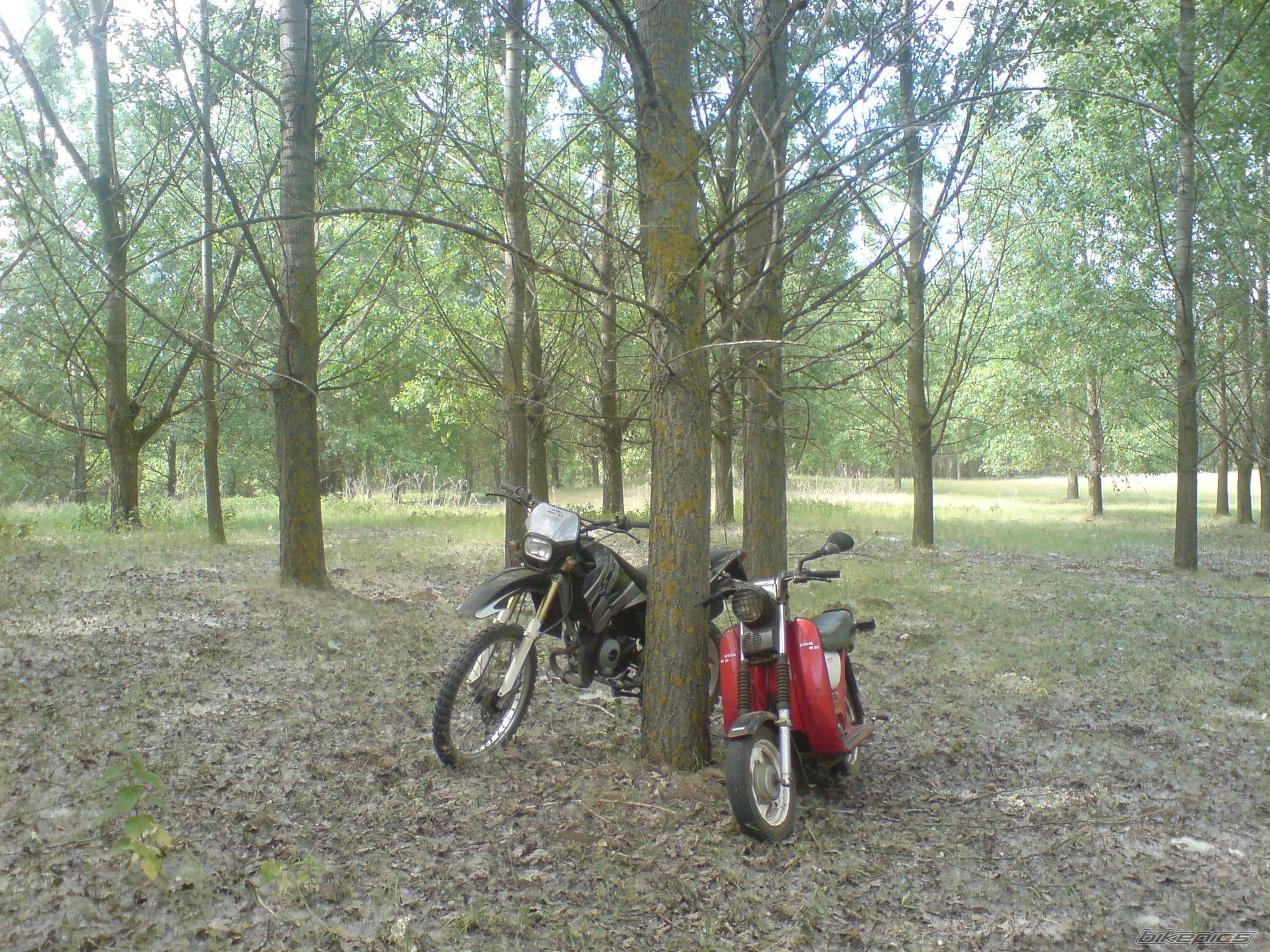 Photo 1674506