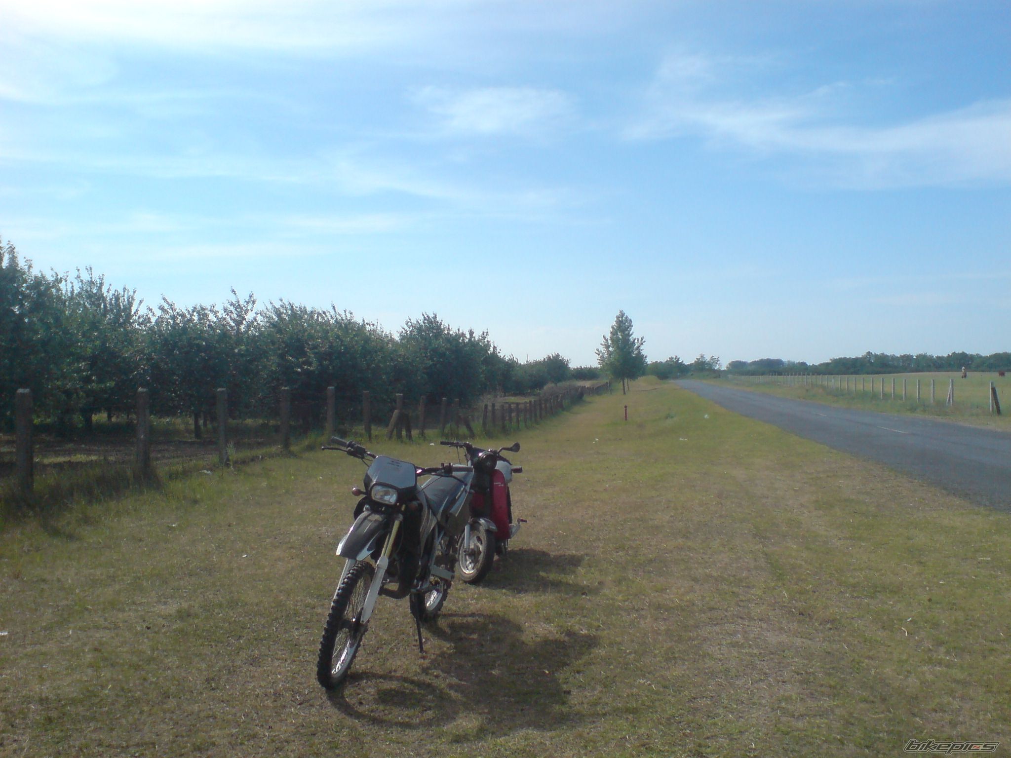 Photo 1674517