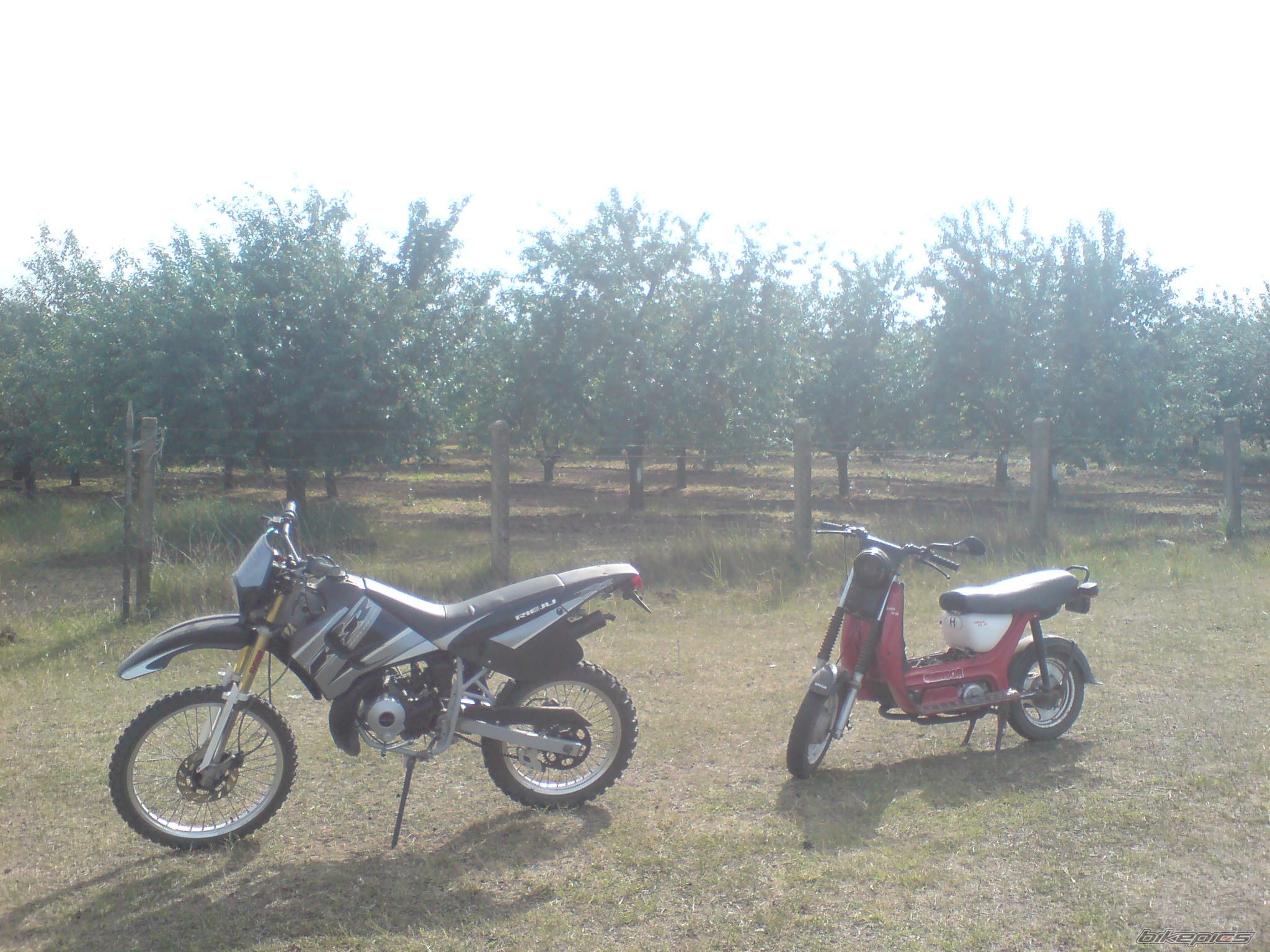 Photo 1674519
