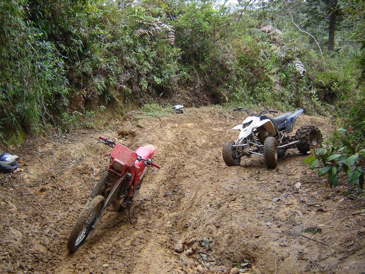 Bike Photo 1674712