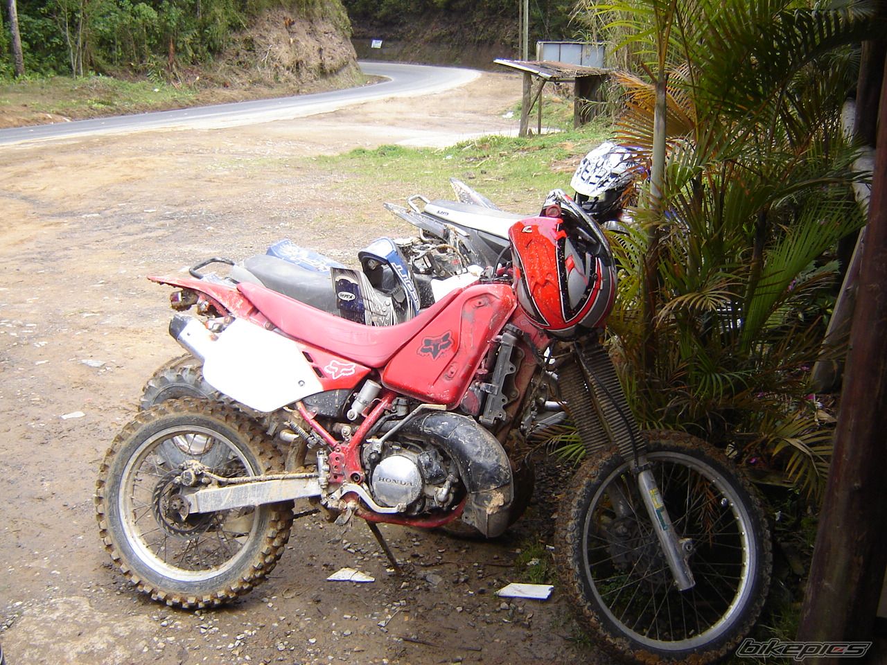Bike Photo 1674715