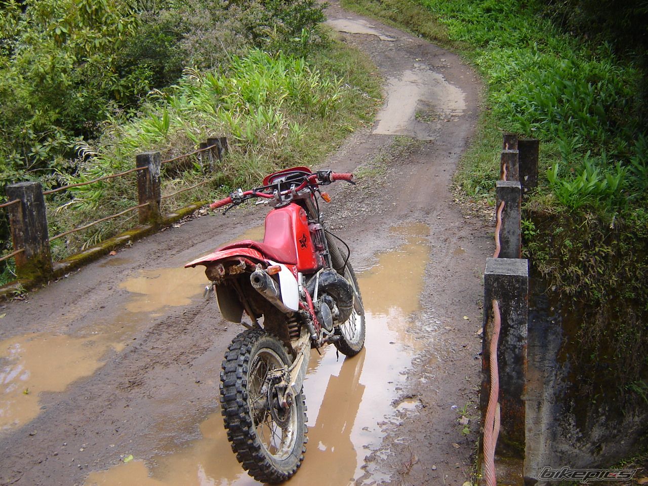 Bike Photo 1674717