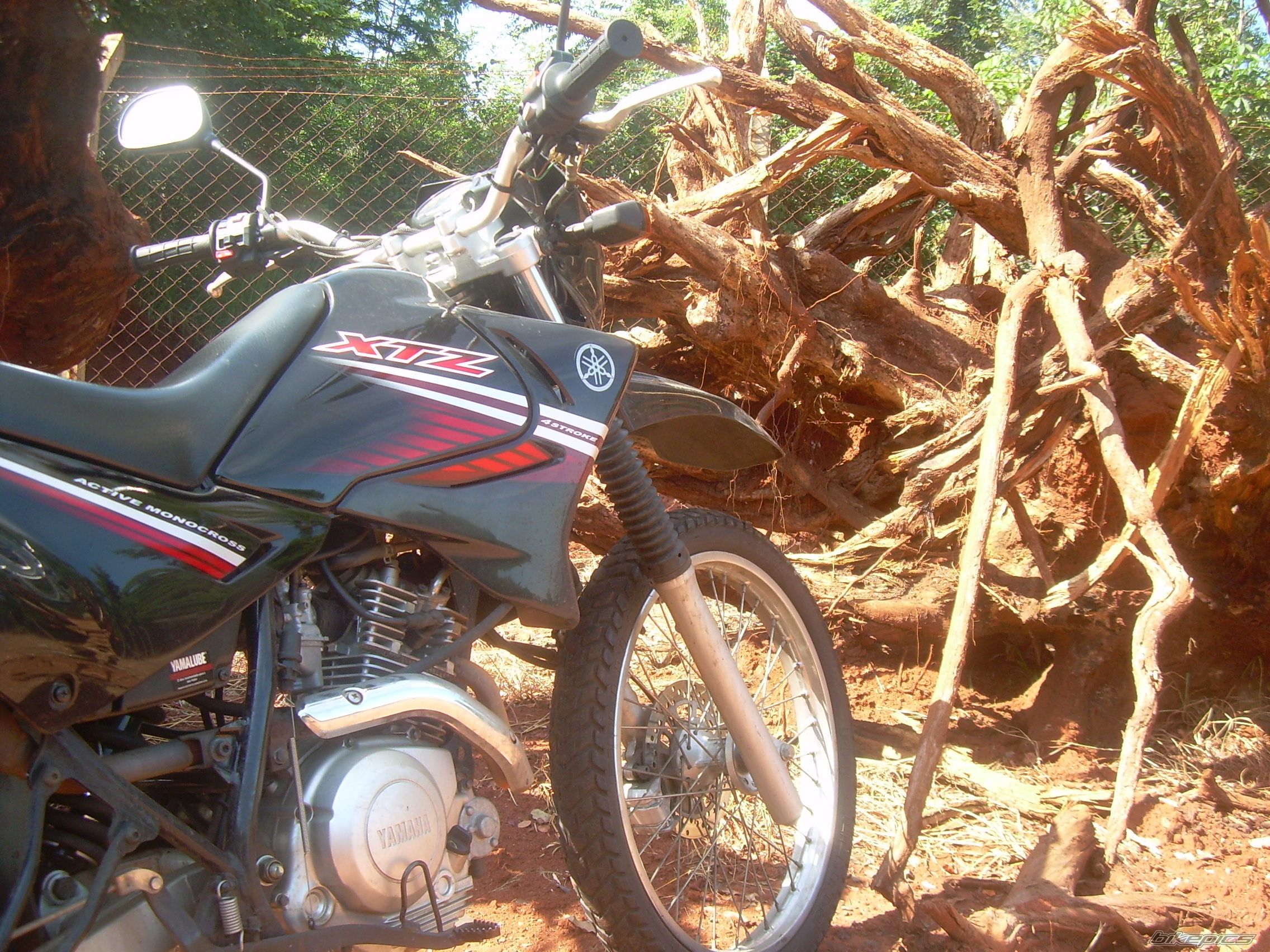 Bike Photo 1674739
