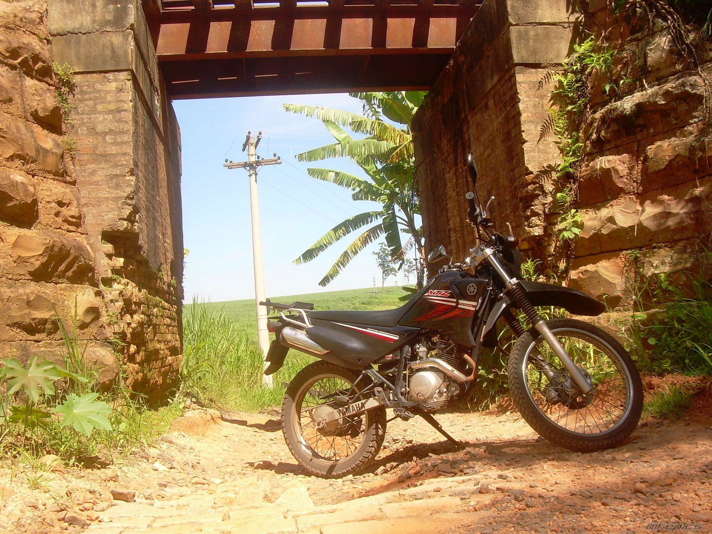 Bike Photo 1674746