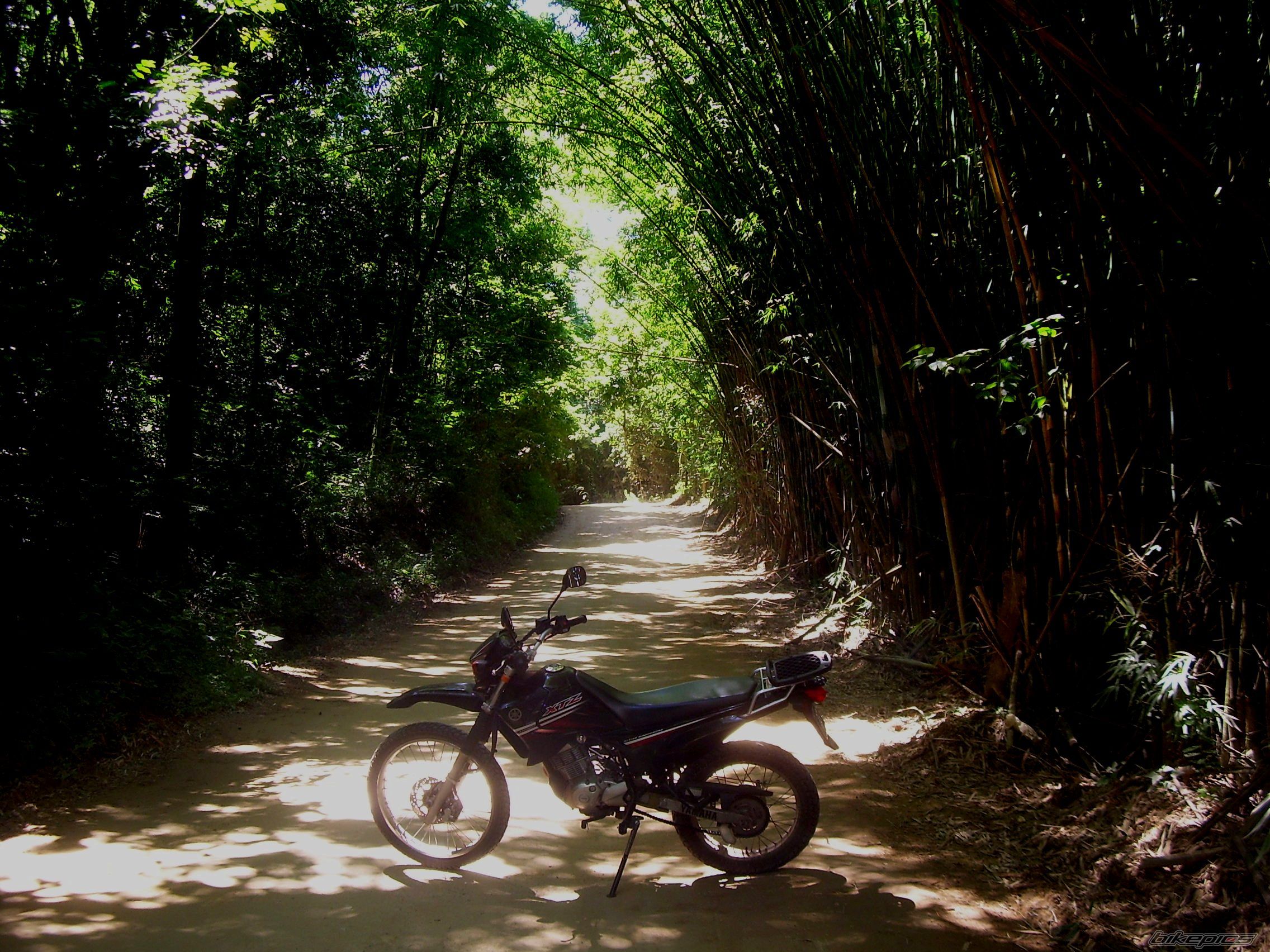 Bike Photo 1674749