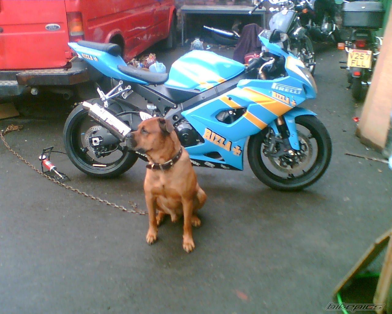 Photo 1674774