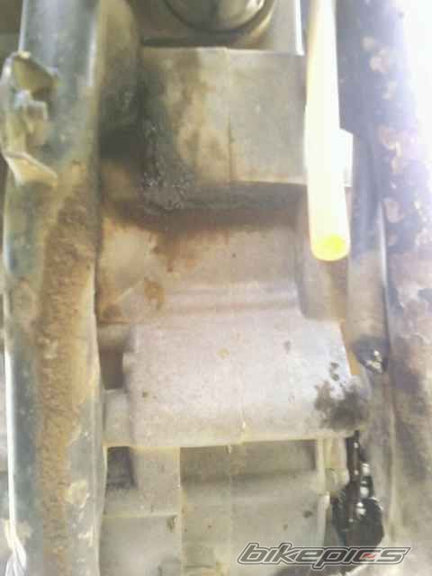 Photo 1674828