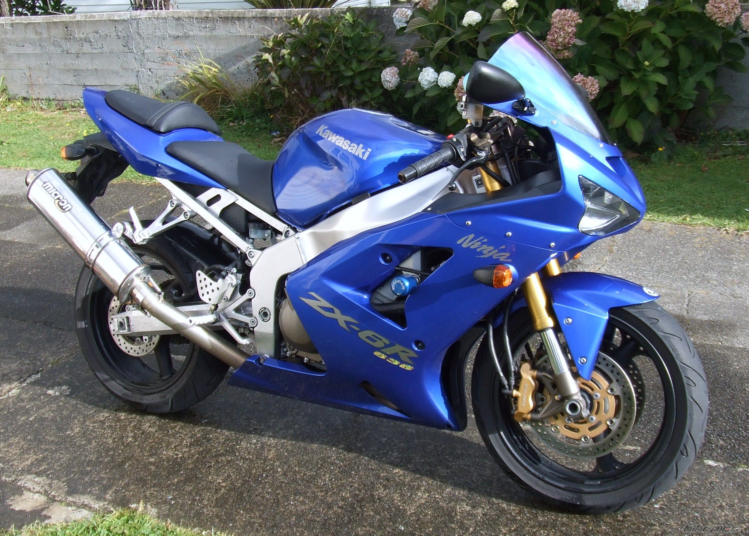 Photo 1674908
